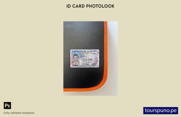 listo para imprimir tarjeta de identificación de pasaporte de EE. UU., versión f